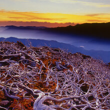 Gunung