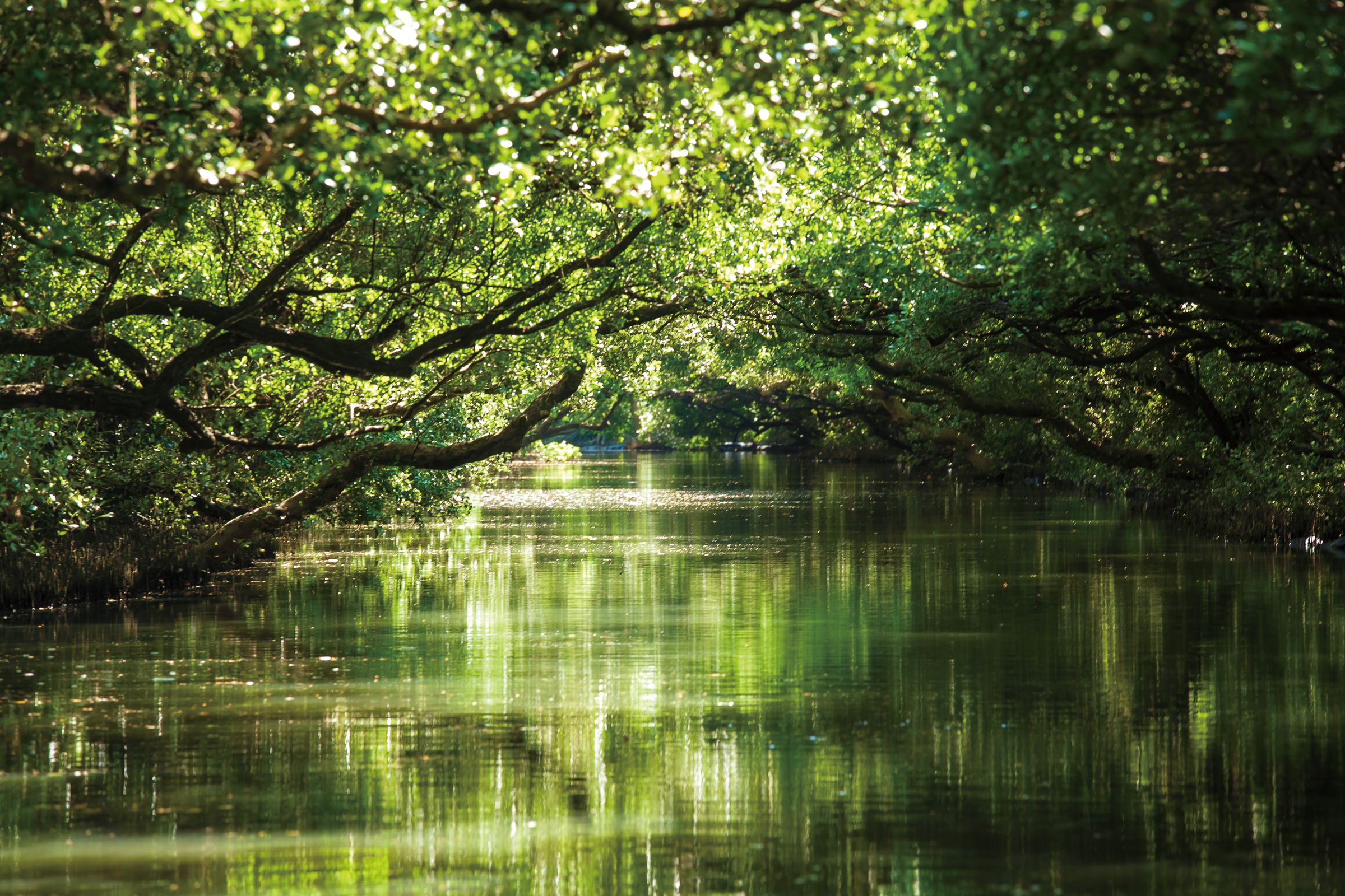 Mask Group 78 Mask Group 78