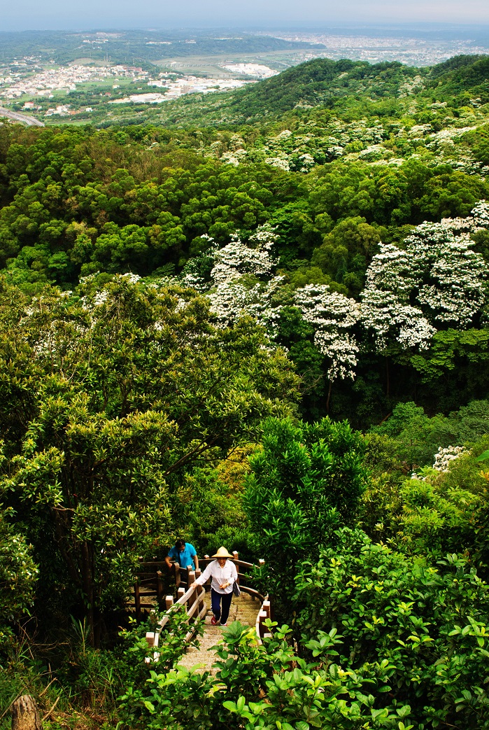 Tung2020_04 Tung2020_04