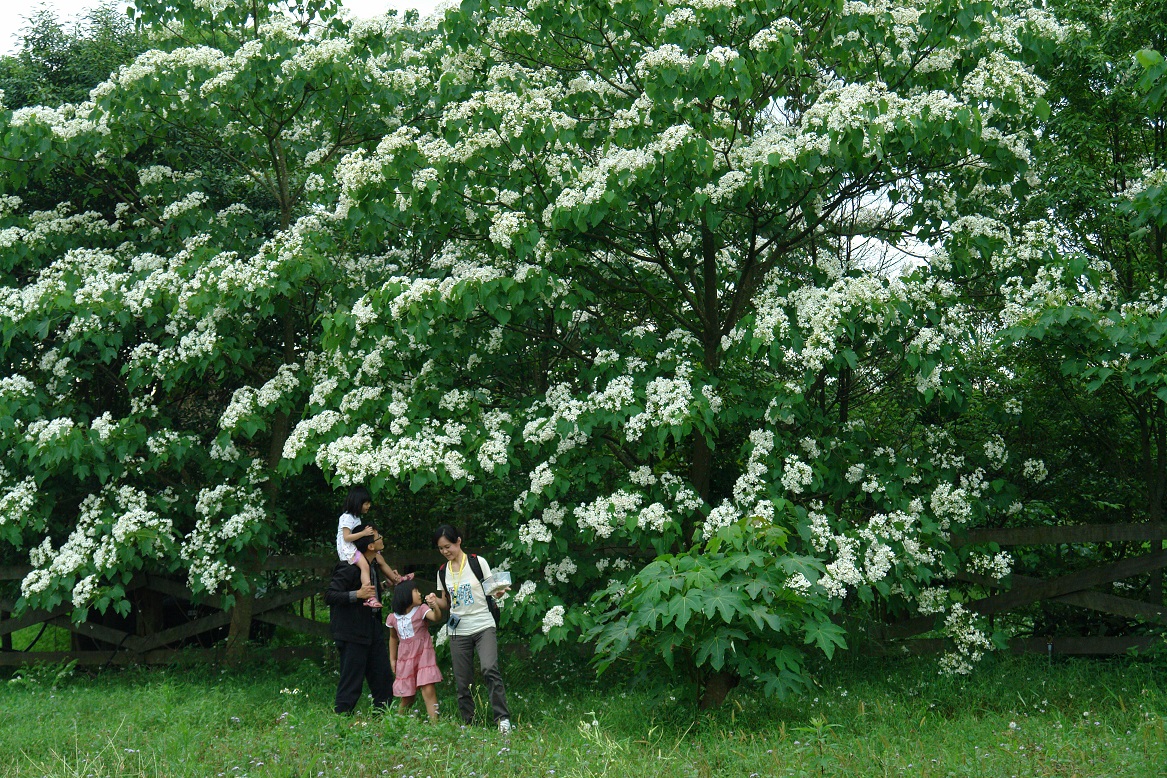 Tung2020_04 Tung2020_04