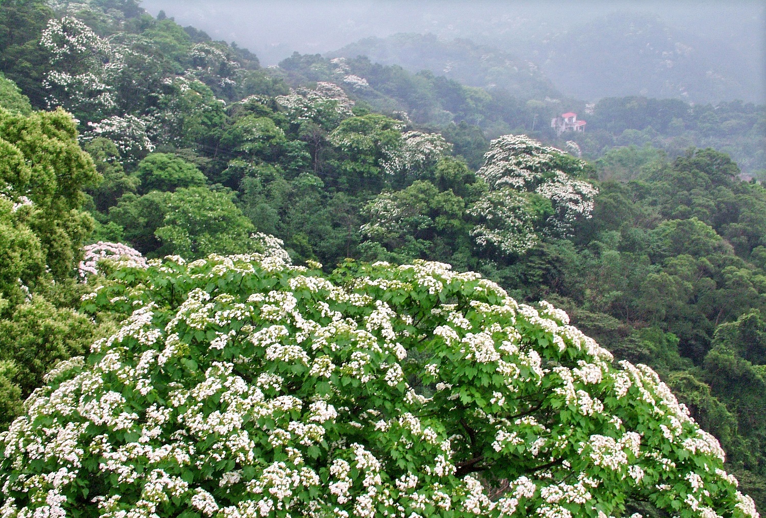 Tung2020_04 Tung2020_04