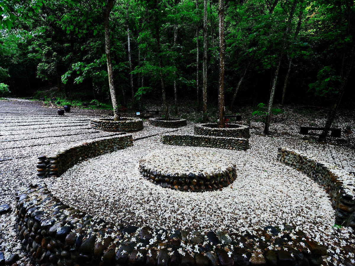 Tung2020_04 Tung2020_04