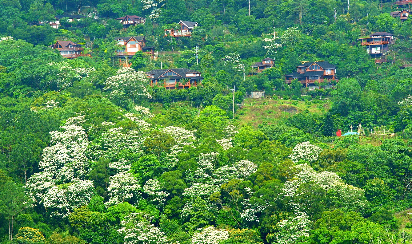 Tung2020_04 Tung2020_04