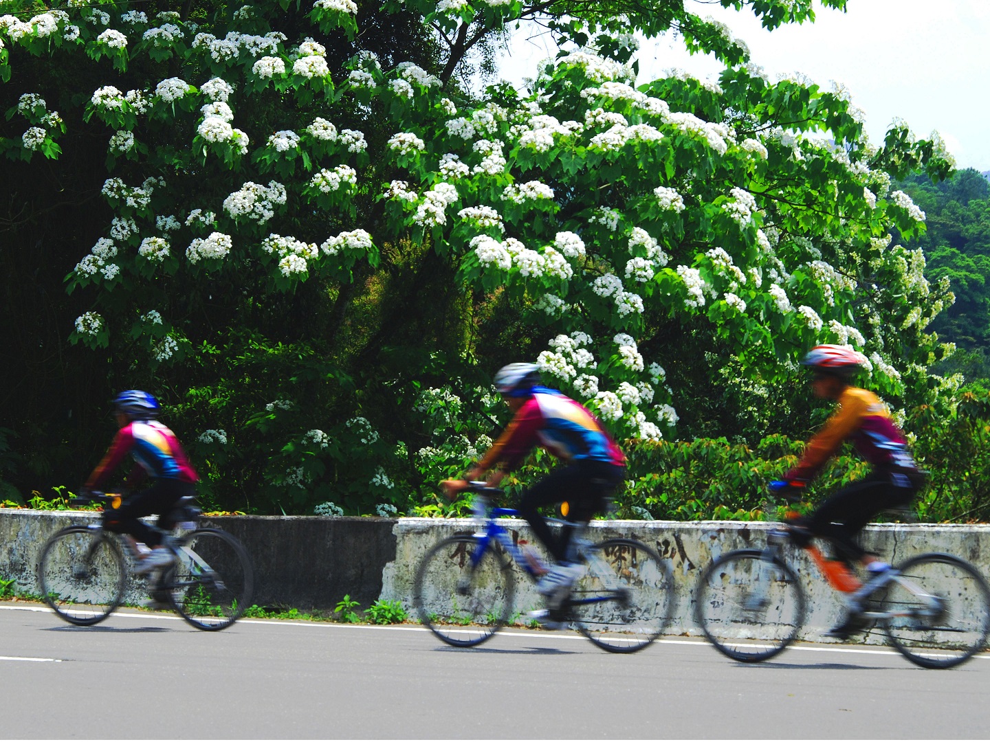 Tung2020_04 Tung2020_04