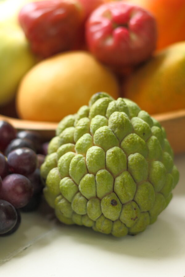 custard apple 1