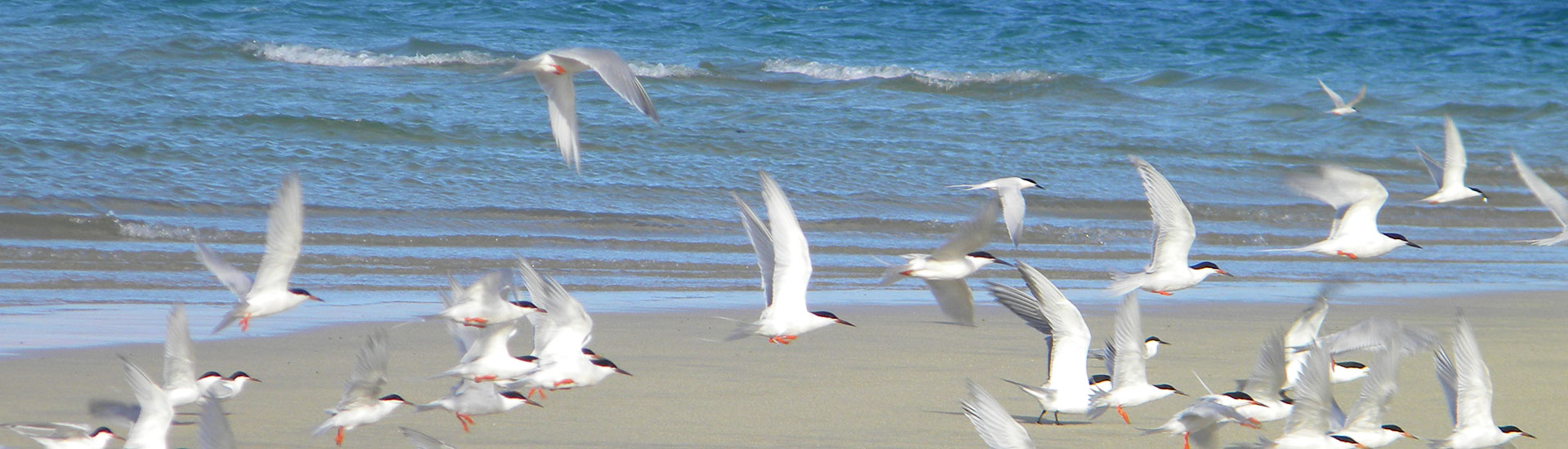 Penghu_Banner Asosiasi Pariwisata Penghu Banner