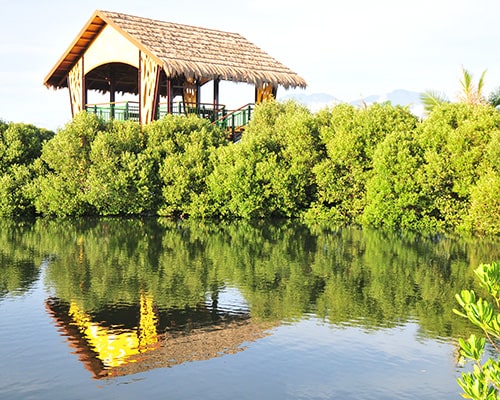 Saluran YouTube Kawasan Pemandangan Nasional Teluk Dapeng