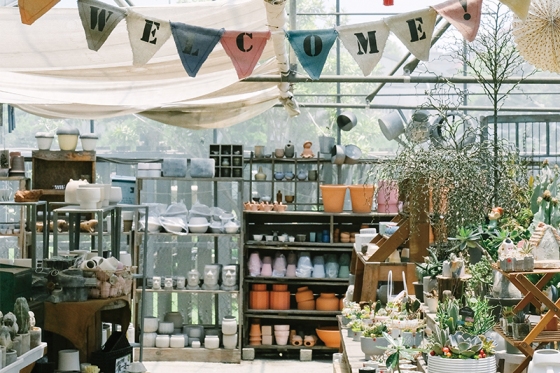 Changhua, Tianwei: Perjalanan Botani