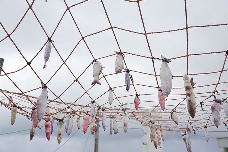 Komunitas Peternakan Perikanan Dong Chang