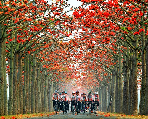 Saluran YouTube Kawasan Pemandangan Alam Nasional Siraya