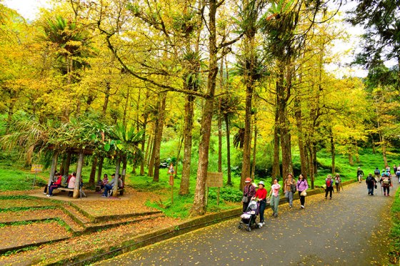Kawasan Pendidikan Alam Xitou