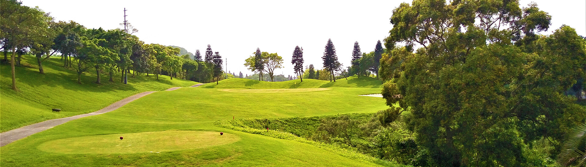 natural greenery and dense tree lines typical of scenic upland or parkland golf courses