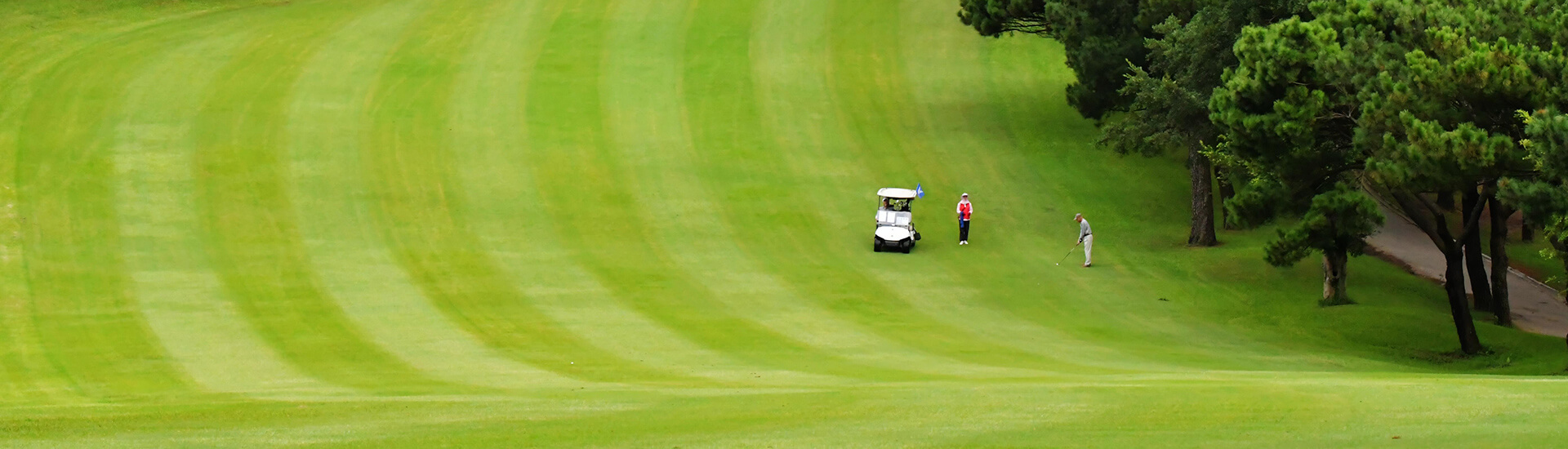 freshly mowed golf course fairway with alternating light