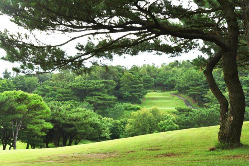 golf-hsinchu13 scenic view of the Hsin Chu Golf Country Club