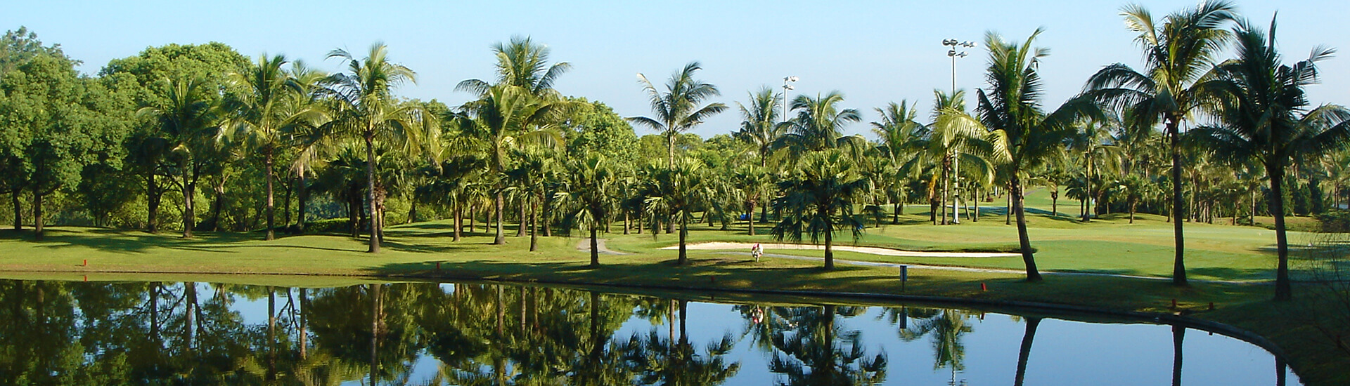 body of water lined with green vegetation and a treeline