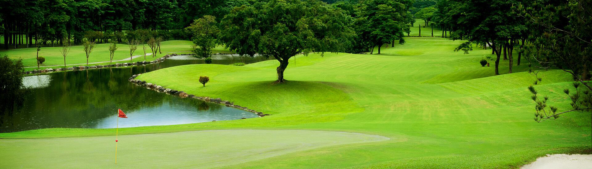 outdoor landscape with patches of green foliage and dark shadows