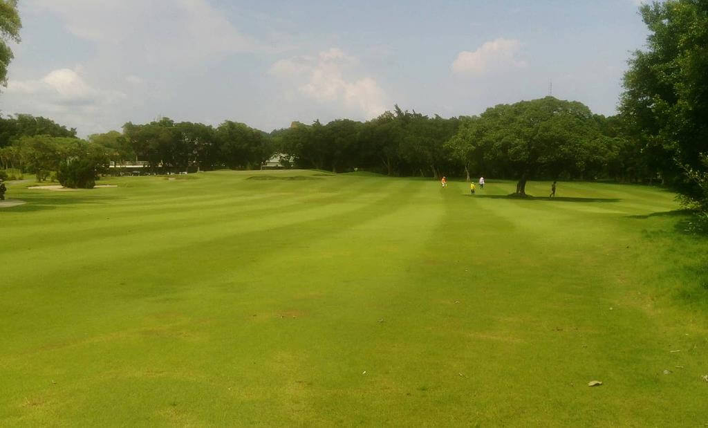 outdoor landscape view of a grassy field or golf course fairway