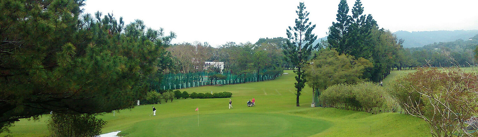 lush green fairways and mature trees