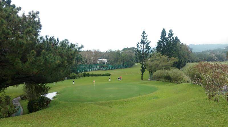 golf-nantou5 green grass fairway of a golf course lined with lush green trees