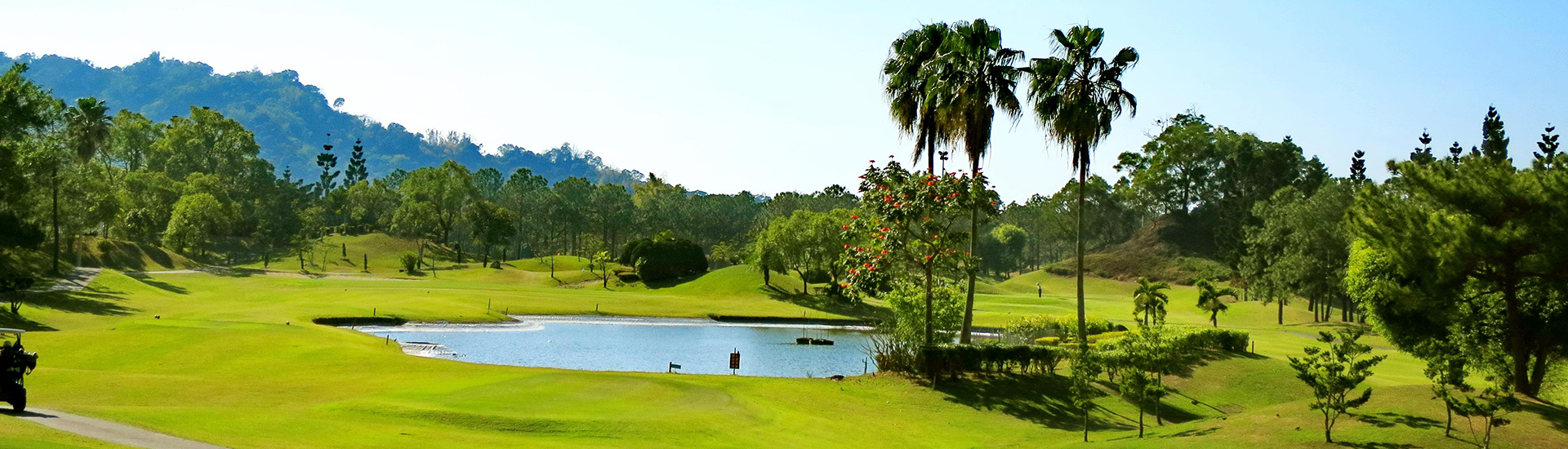 featuring green fairways, palm trees, and rolling mountain foothills