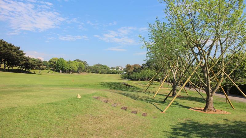 golf-taichong06 green golf course fairway under a blue sky, lined by trees
