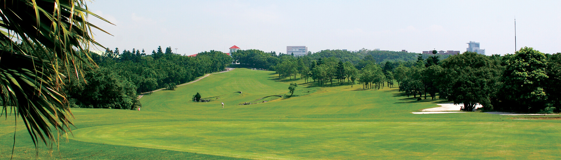 scenic view of a lush green golf course fairway