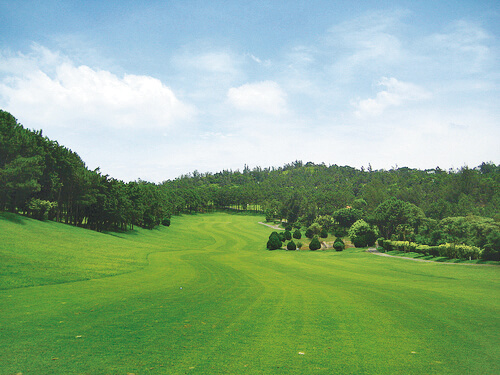 golf-taoyuan-5 green fairway at the Marshal Golf Club