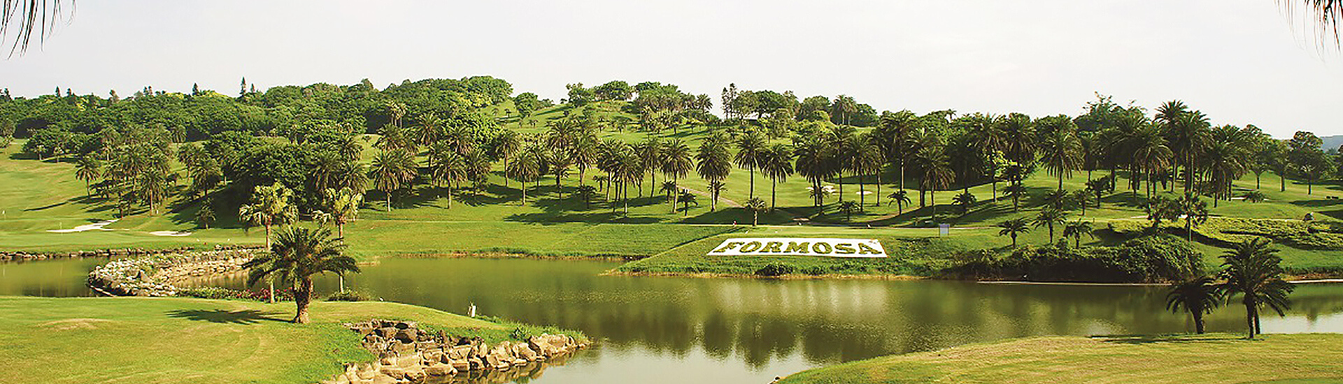 outdoor green terrain or agricultural field under a bright sky