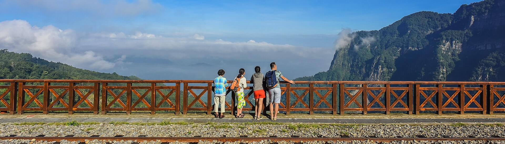 Scenic forest trail winding through ancient cypress trees in Chiayi County.